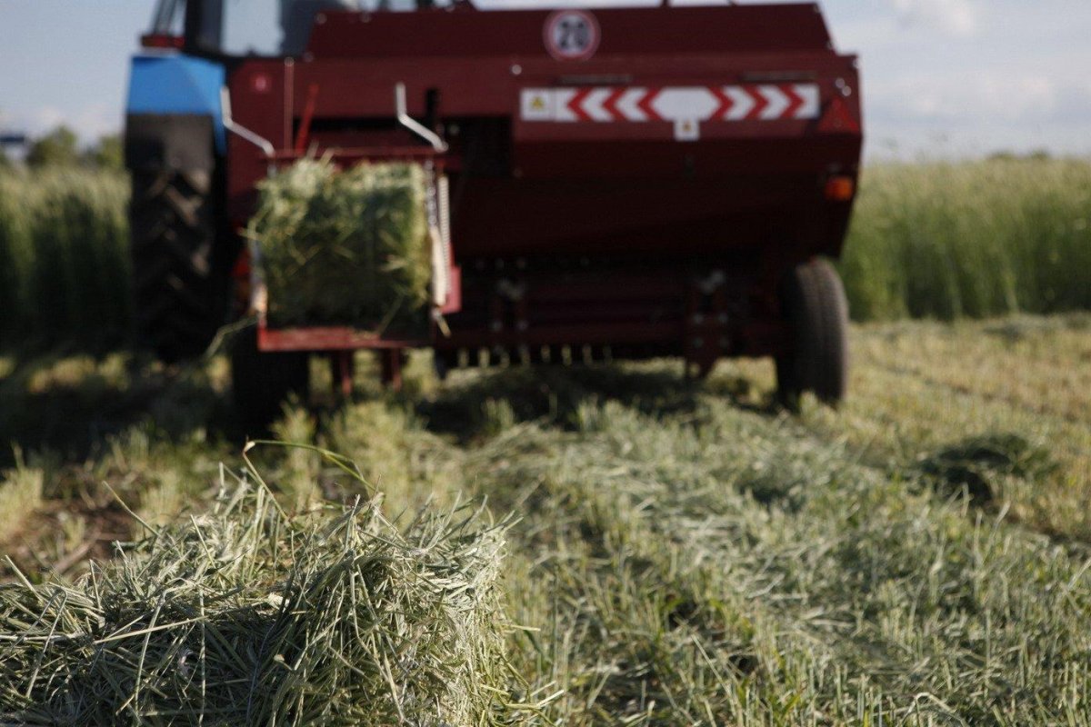 Пресс подборщик Ростсельмаш