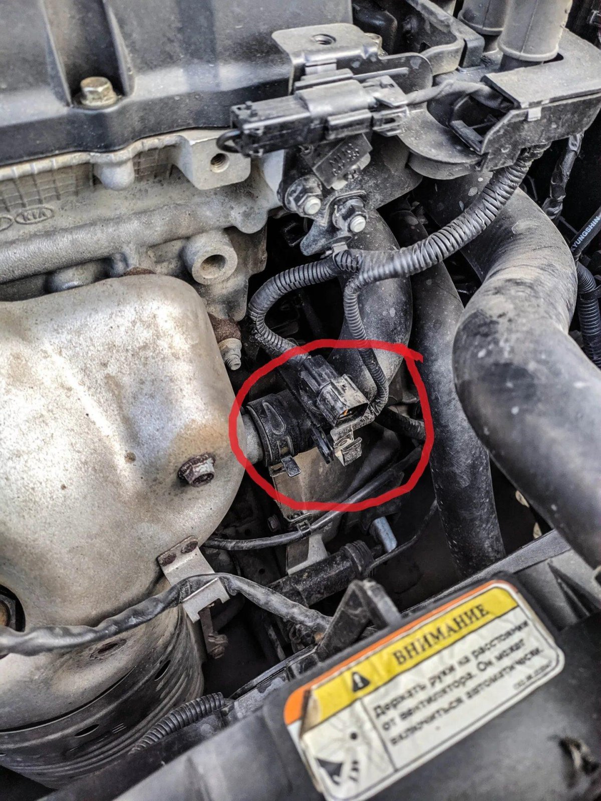 Датчик распредвала Киа Рио 2