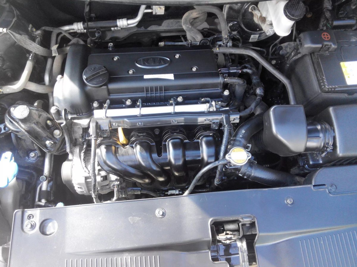 Мотор Киа Рио 1.6