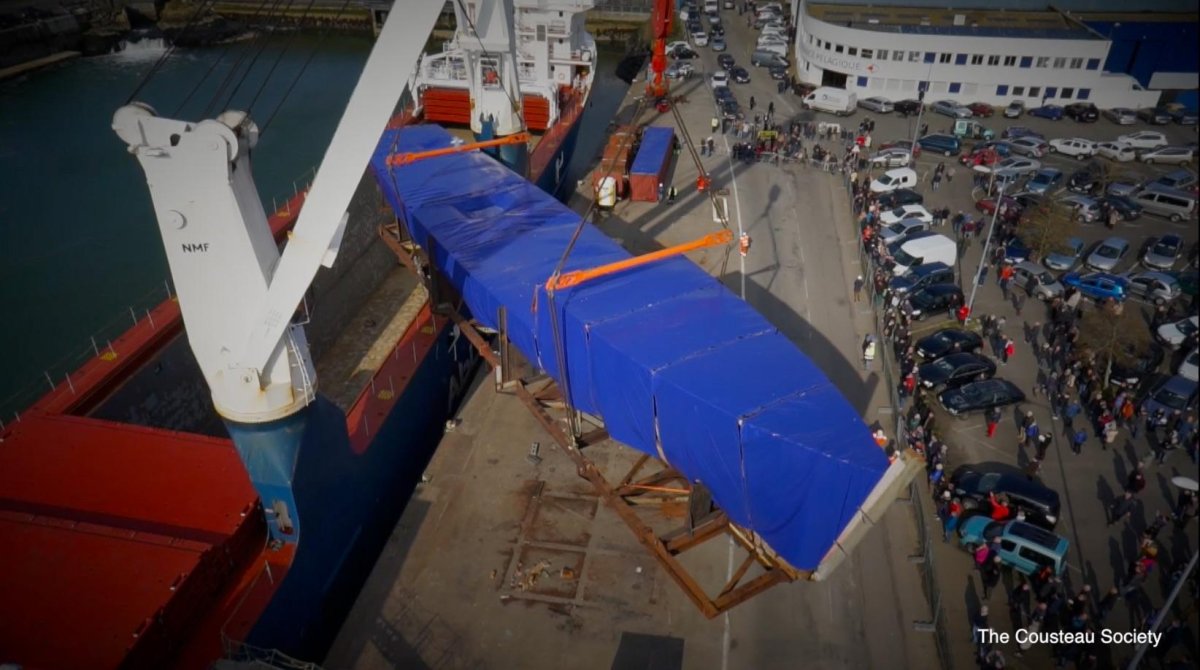 Калипсо Кусто