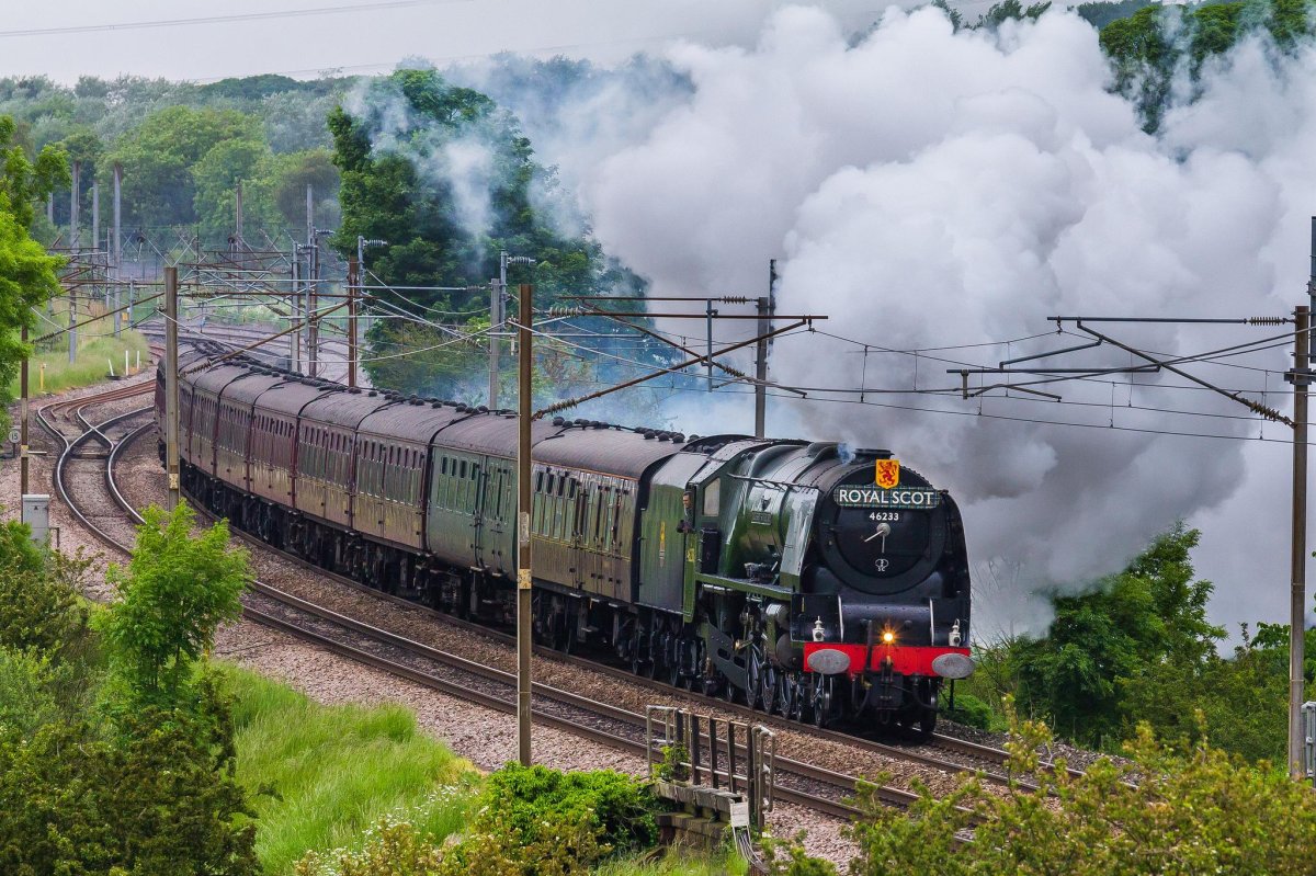 Королевский шотландец поезд