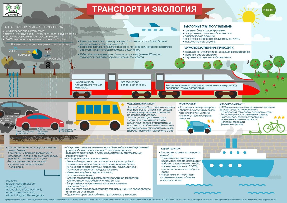 Экологические виды транспорта