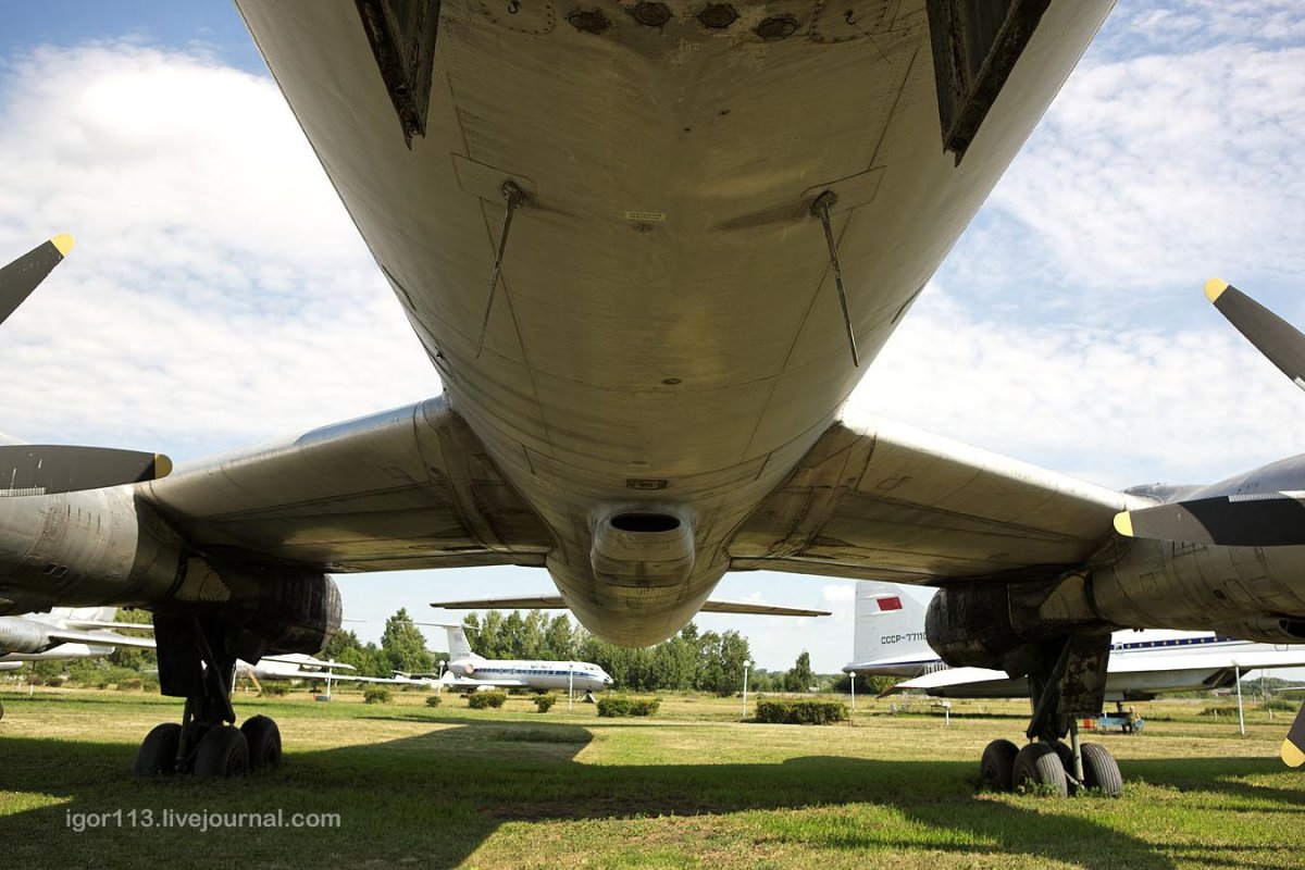 Ту 95 пассажирский