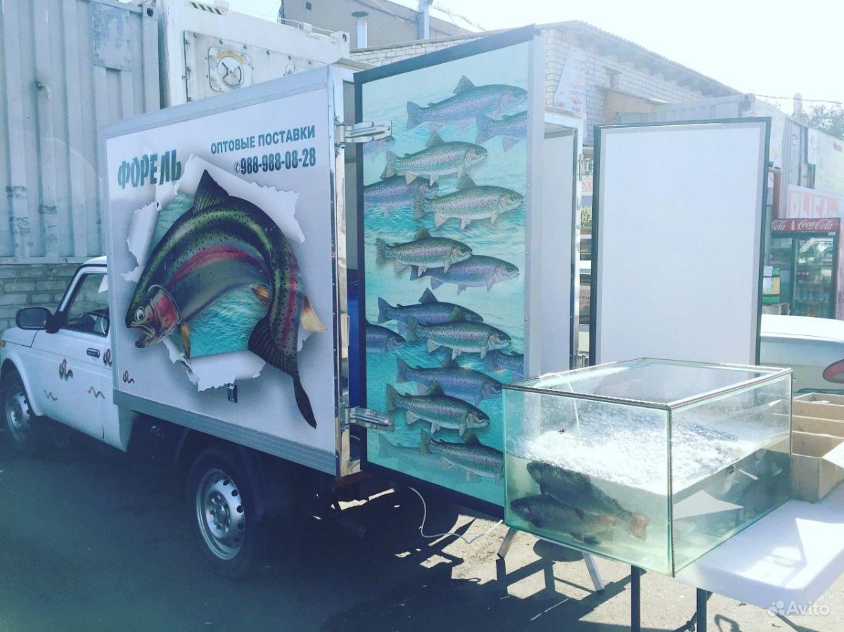 Машина Живая рыба