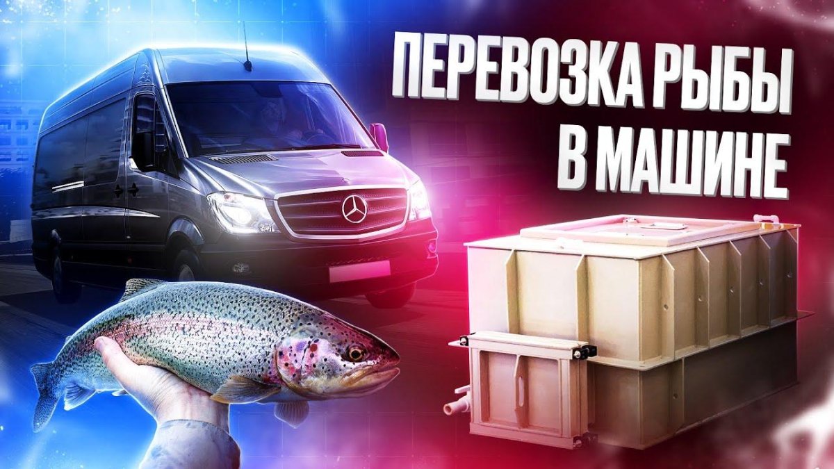 Перевозка рыбы