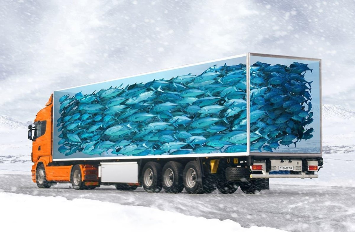 Транспортировка рыбы