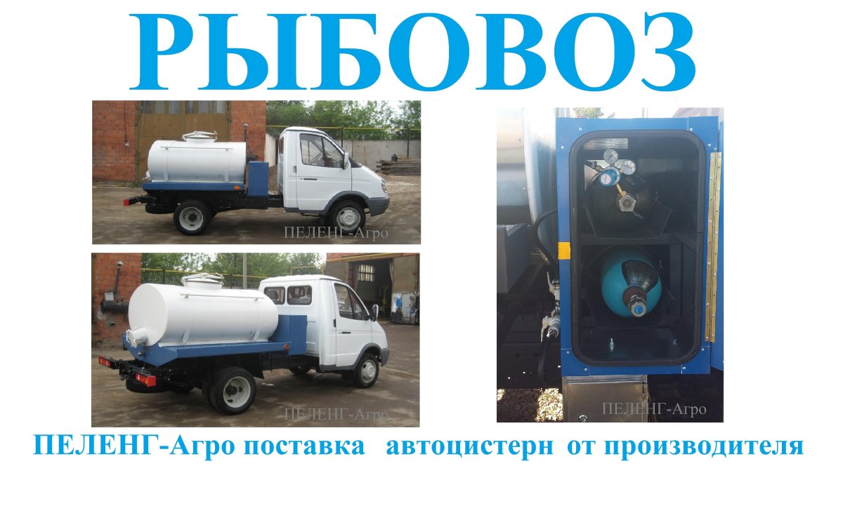 Перевозка живой рыбы