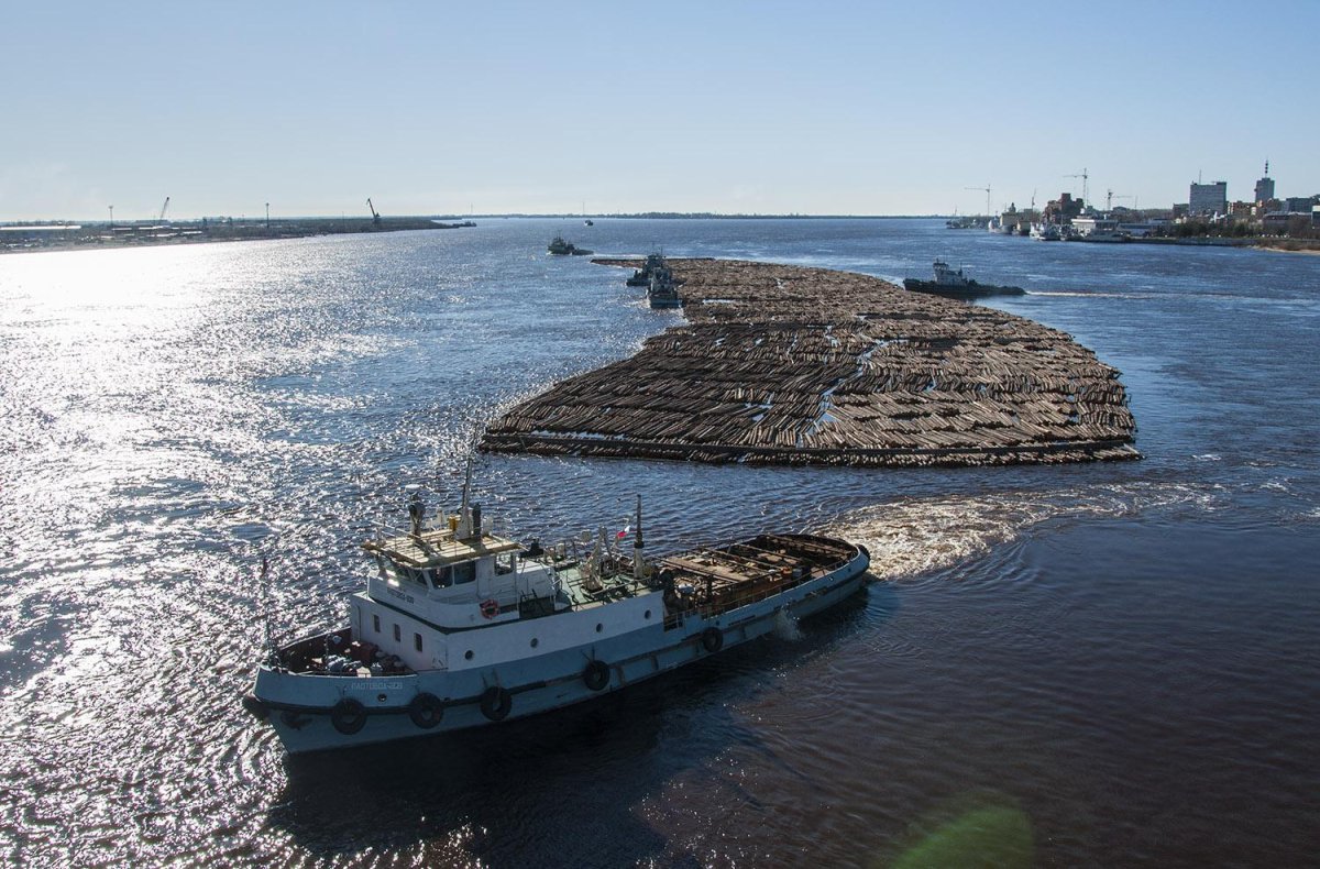 Плотовод 699