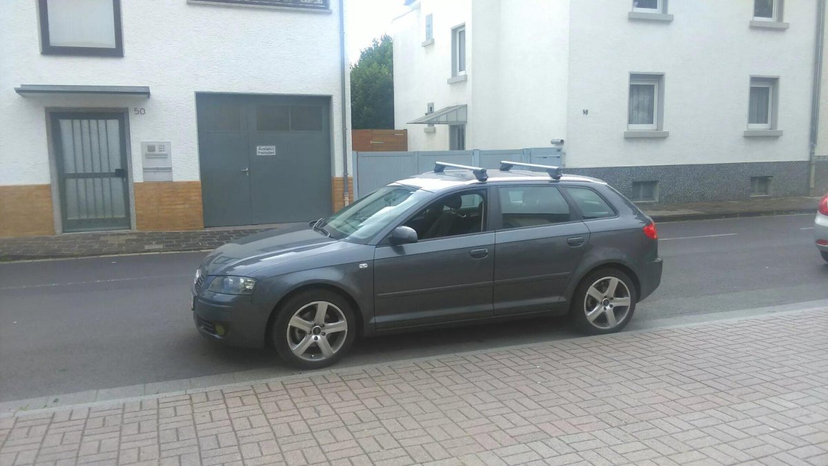 Рейлинги Audi a3