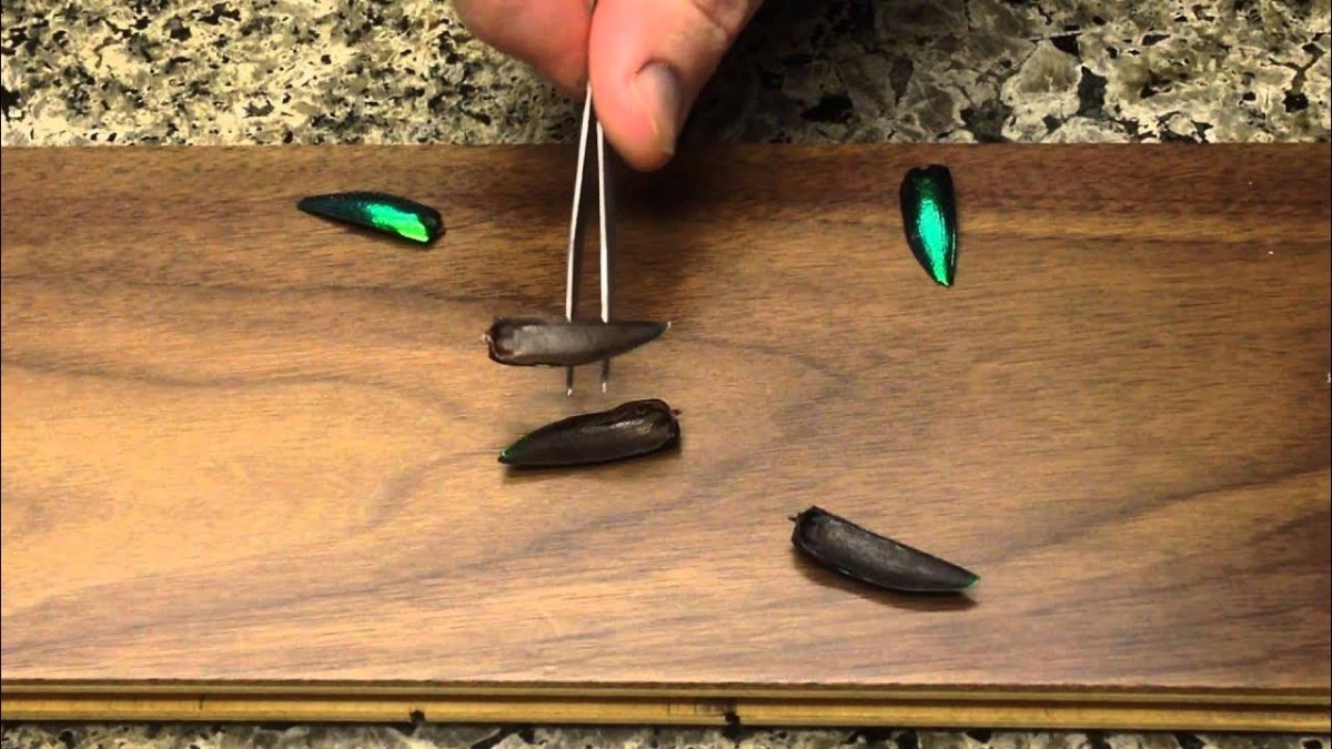 Гребенников гравитолет