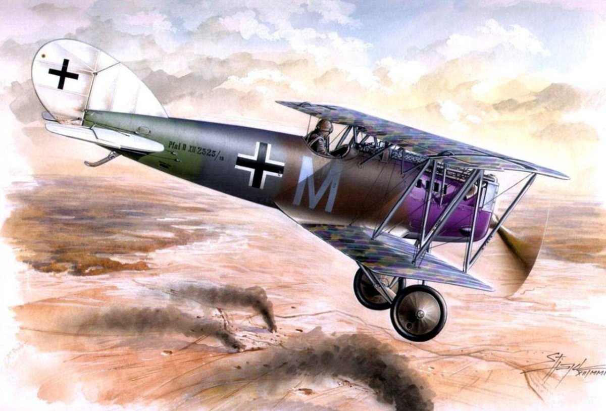 Самолет Пфальц