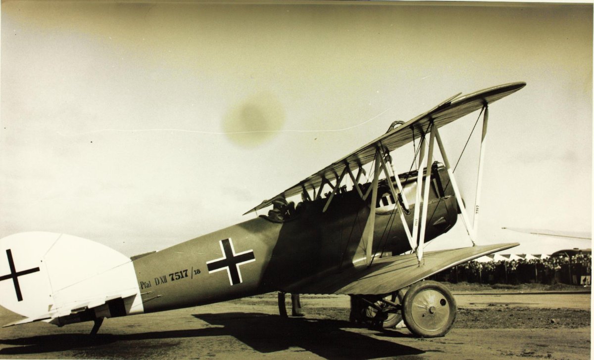 Самолет Пфальц