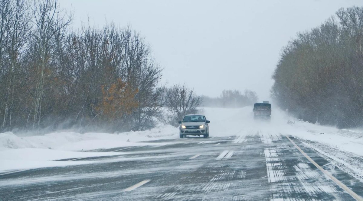 Снегопад на дороге