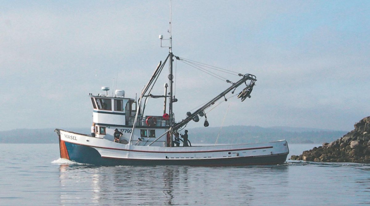 Рыболовецкий сейнер