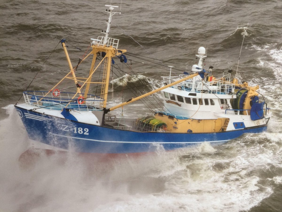 Рыболовное судно (Fishing Vessel)