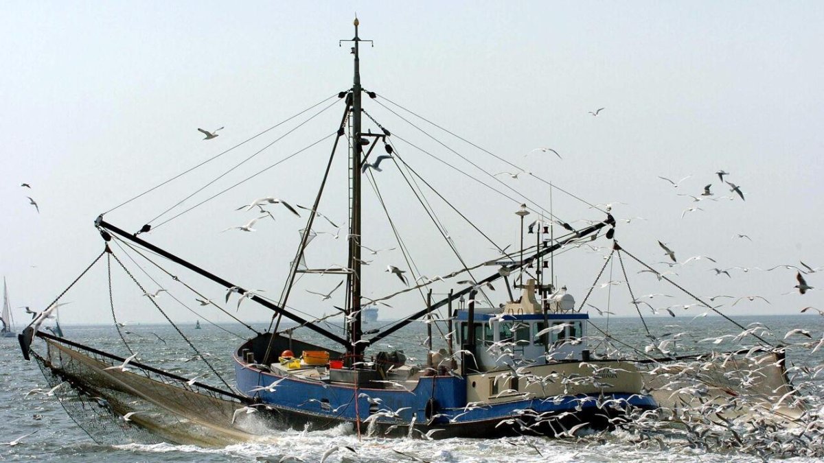 Трал 520 рыболовецкий