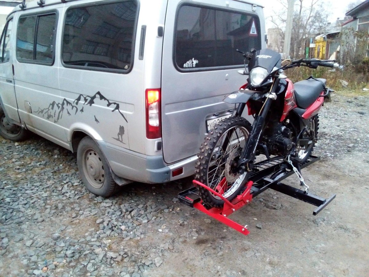 Мотохвост Сорокин