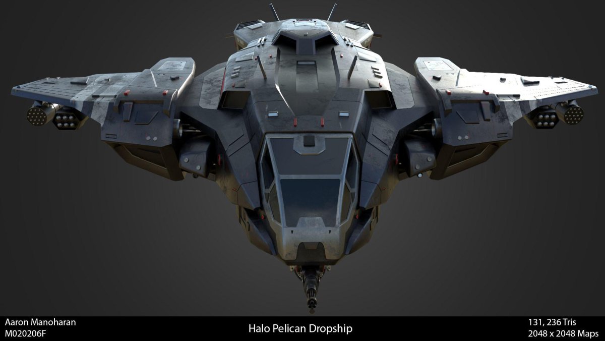 Хейло Пеликан