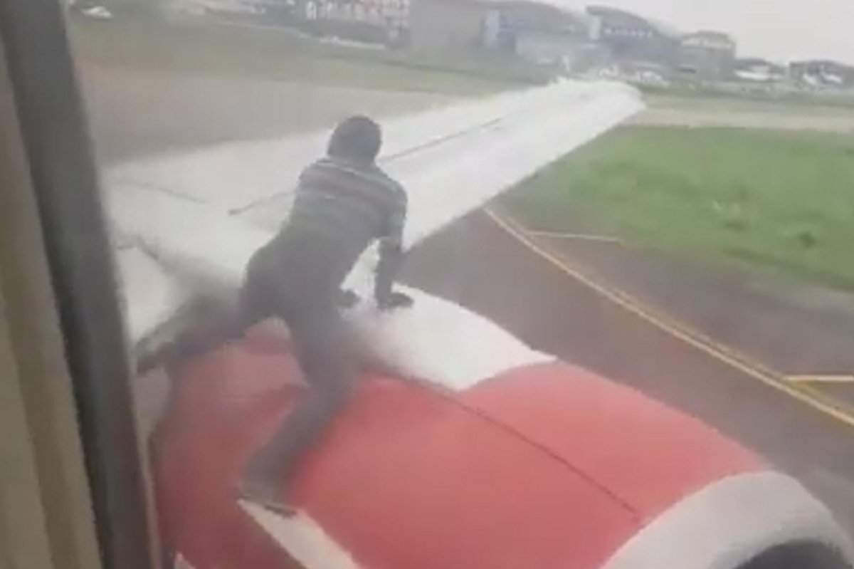 Крыло самолета