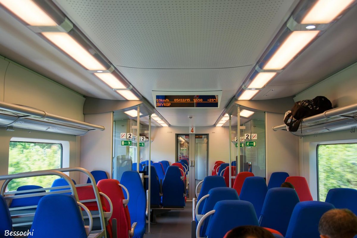 Ласточка Краснодар