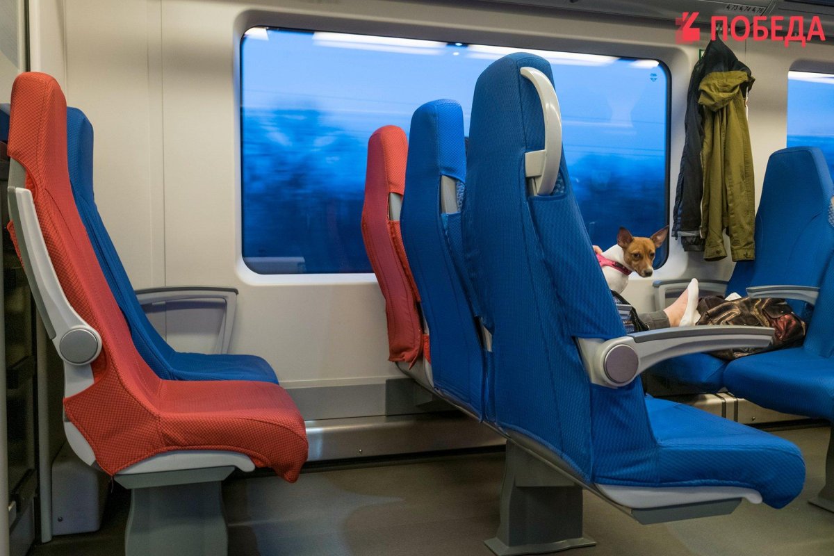 Поезд Ласточка Кисловодск Краснодар