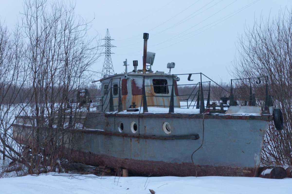 Буксир костромич т-63