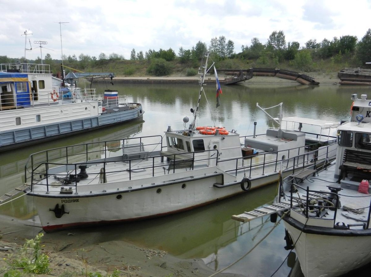 Костромич пр 1606