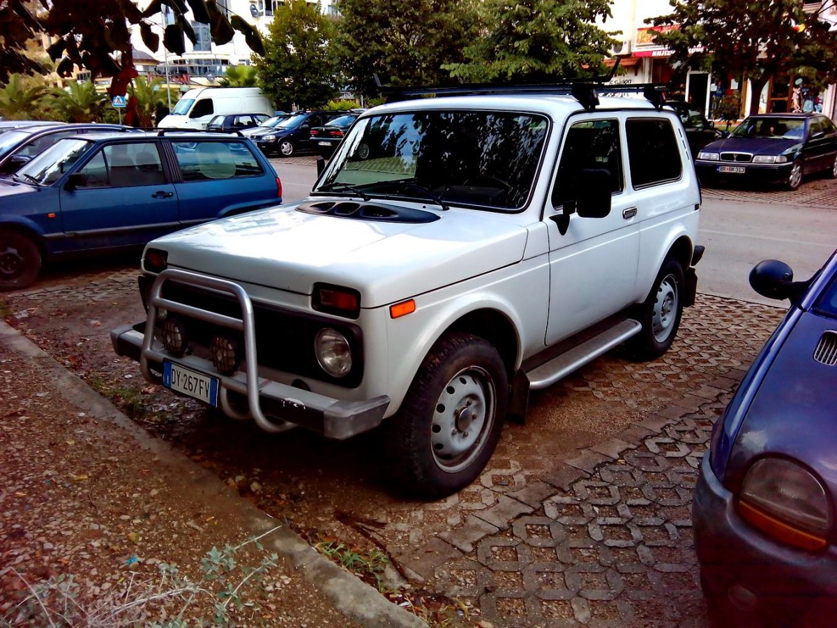 Японская Нива