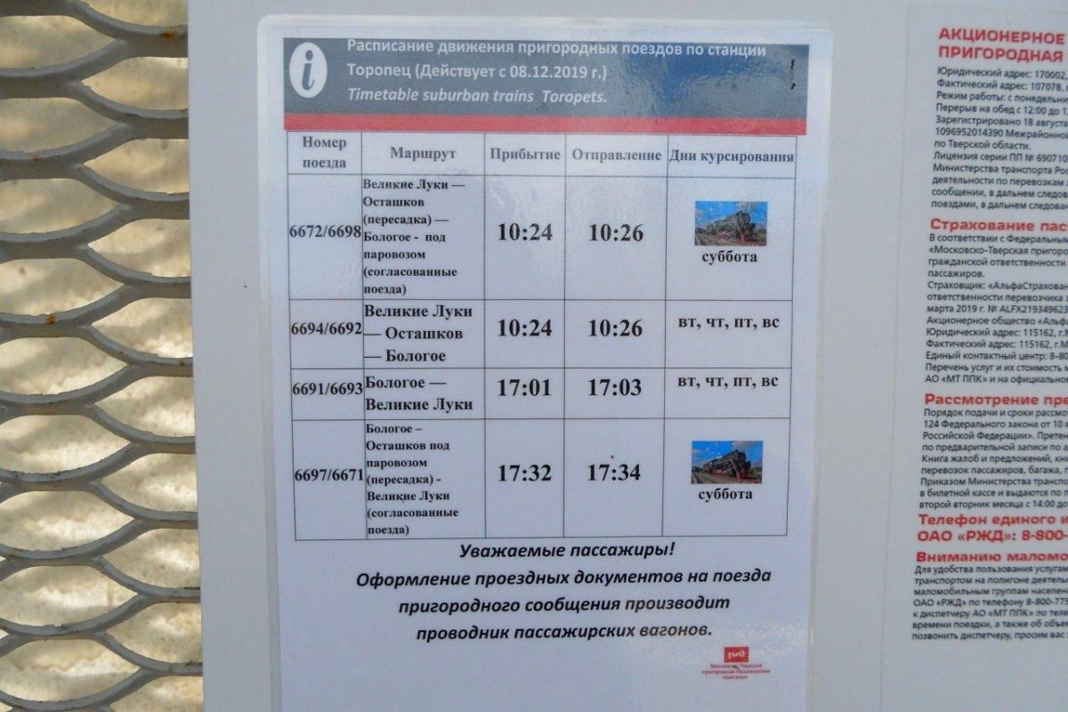 Торопец Нелидово автобус