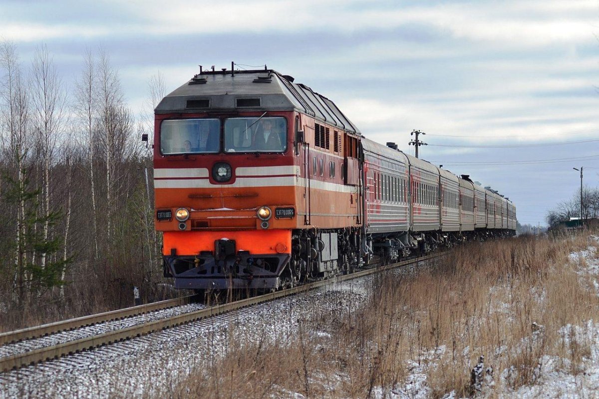 Поезд Великие Луки Санкт-Петербург