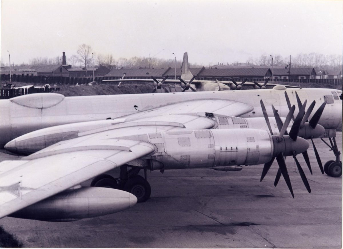 Ту-95лал ту-119