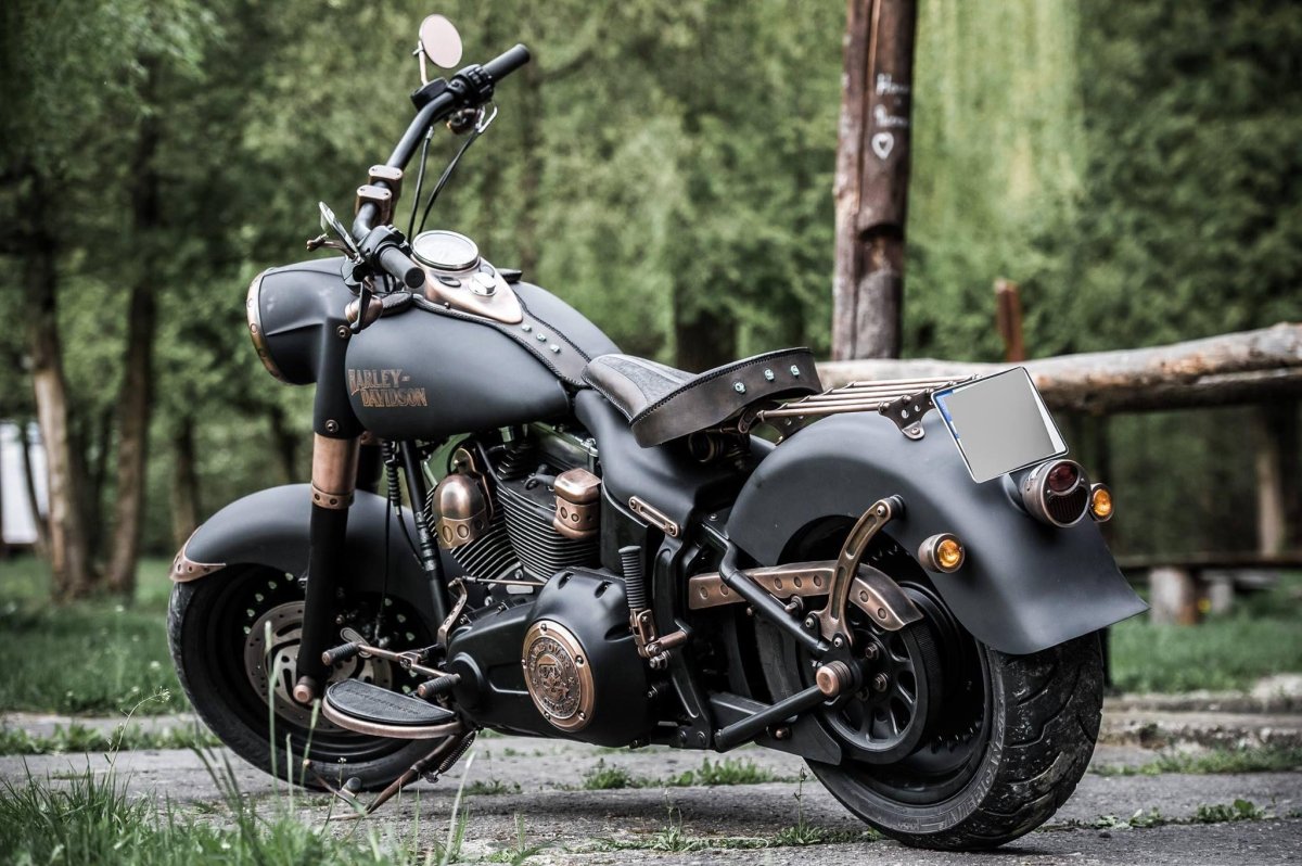 Харлей Дэвидсон Cycles