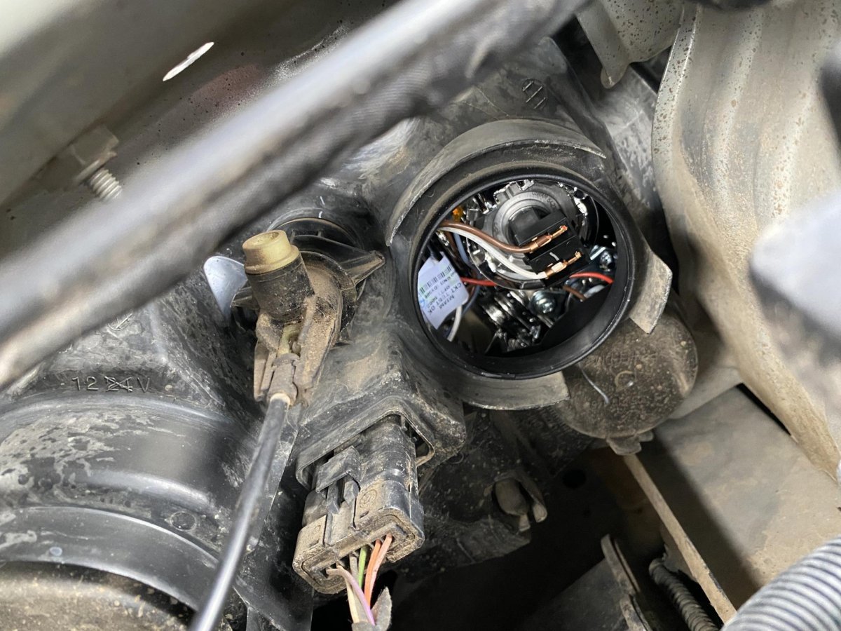 Лампа ближнего света Nissan Terrano