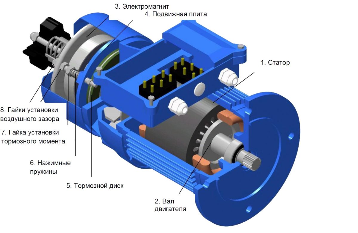 Мотор-редуктор червячный в разрезе