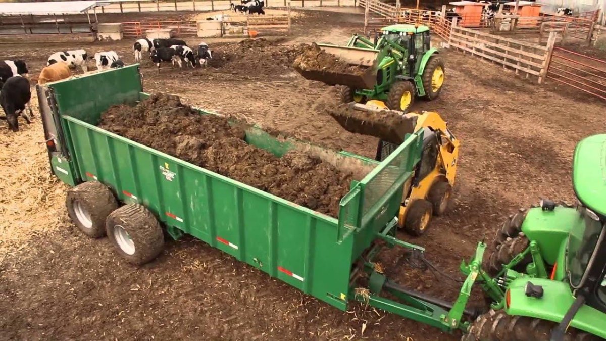 Трактор с навозом