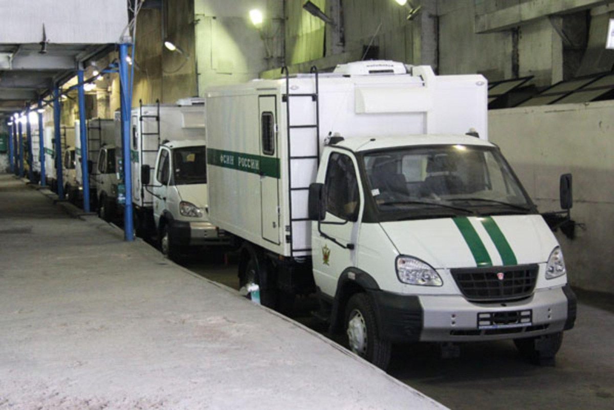 ГАЗ 33106 автозак