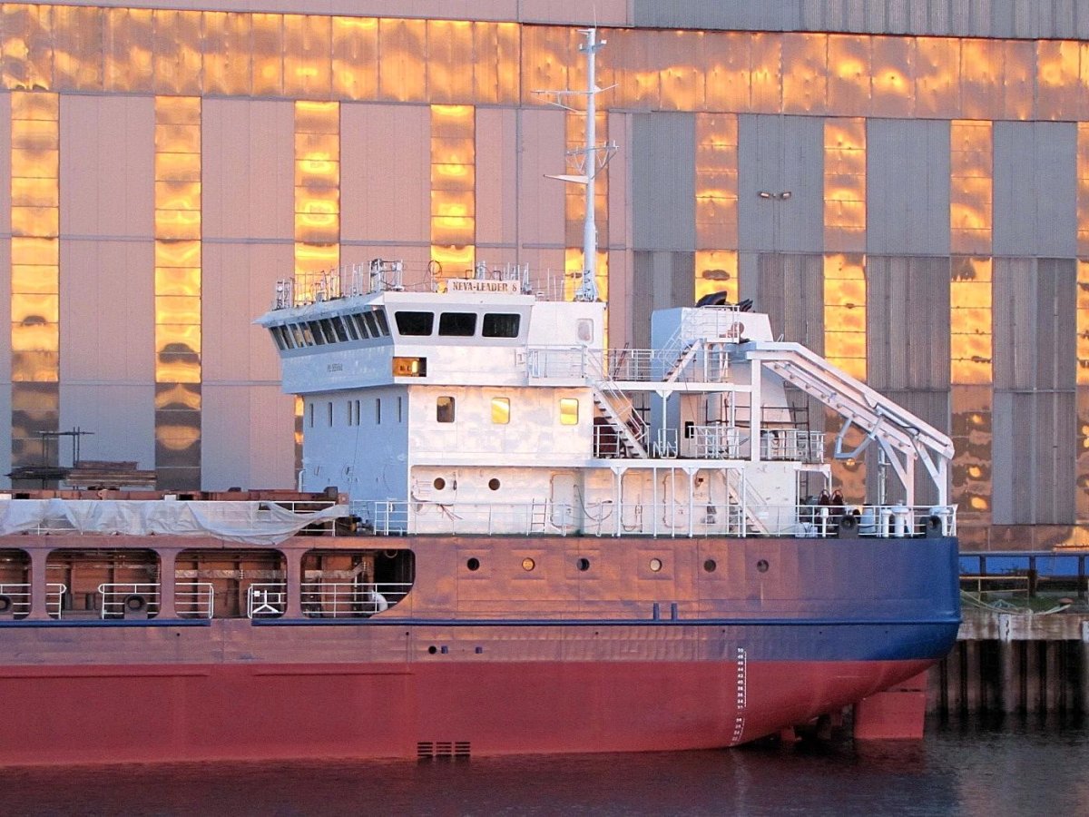 Нева Лидер 8