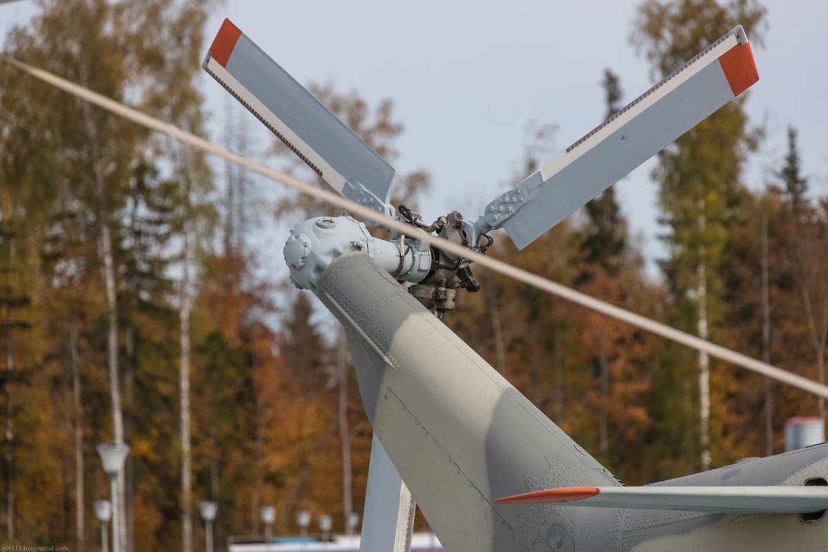 Парк Патриот ми 8