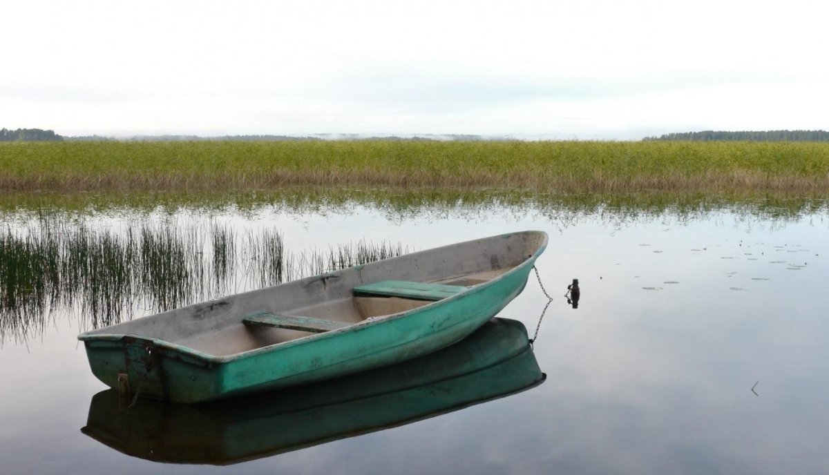 Гребные лодки Пелла Фиорд