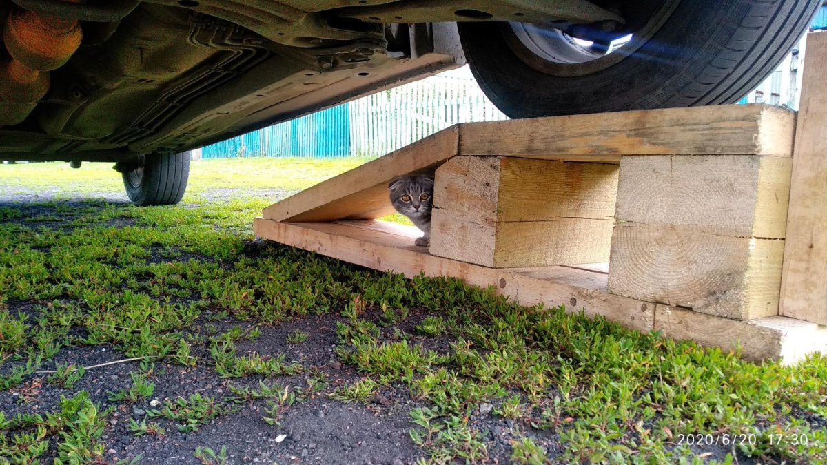 Эстакада из дерева для машины