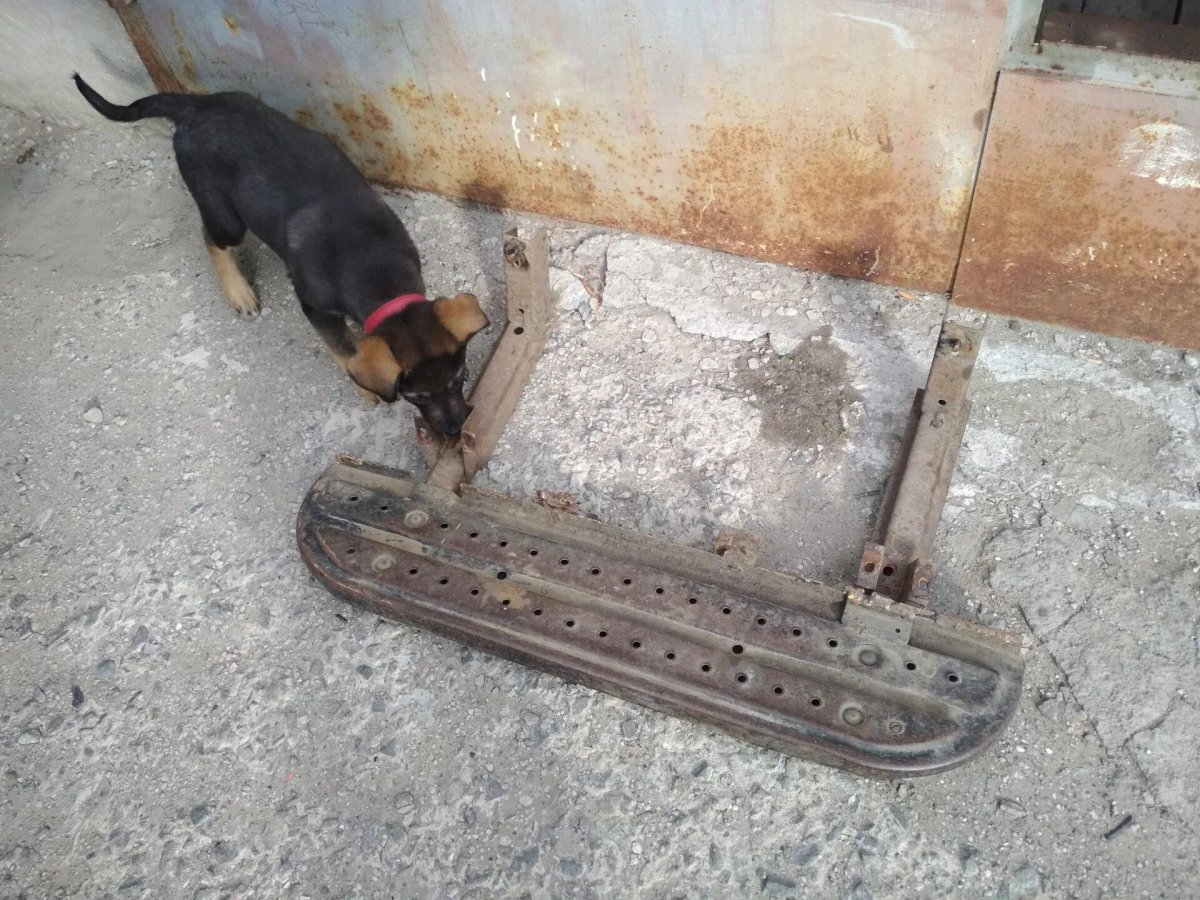 Подножка боковая Соболь