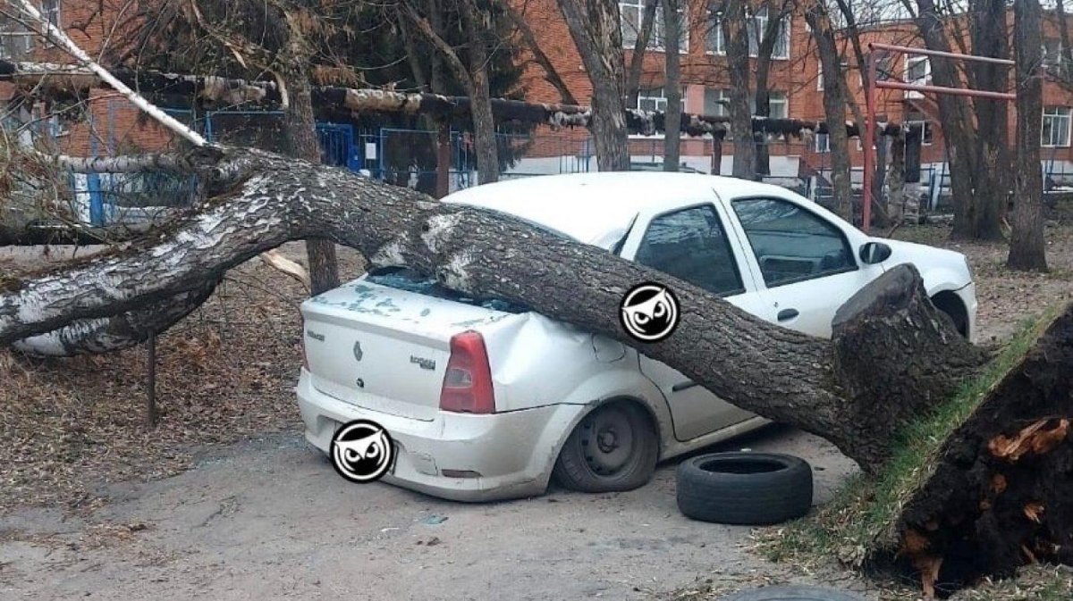 Падение дерева на автомобиль