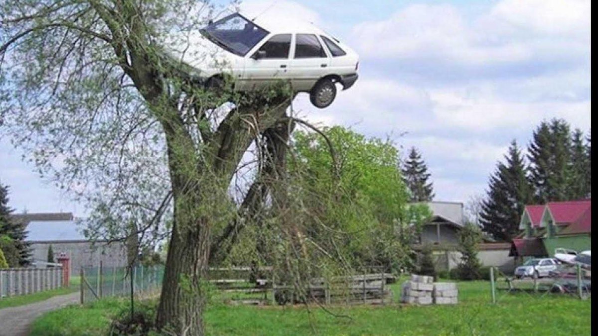 Машина висит на дереве