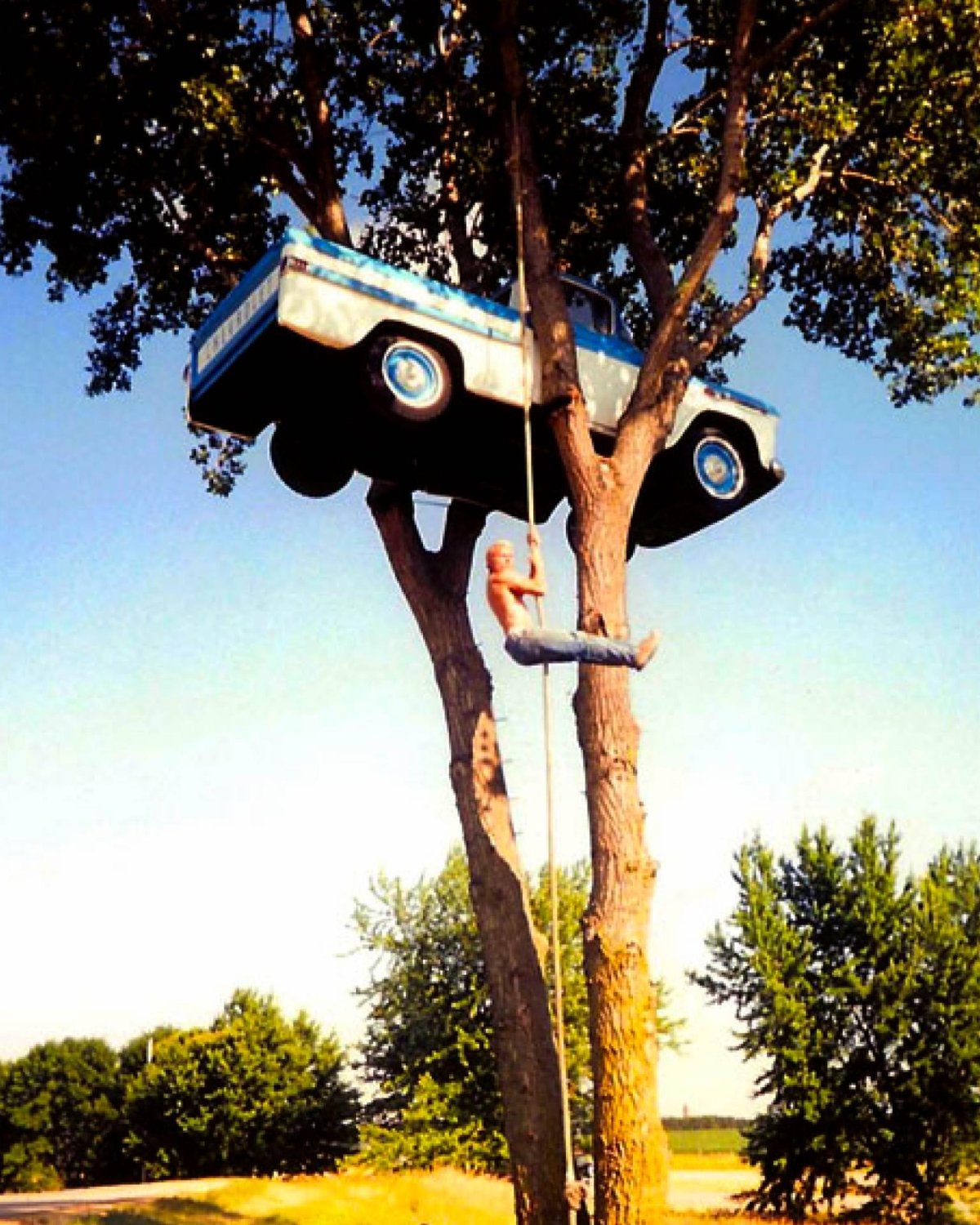 Машина на дереве