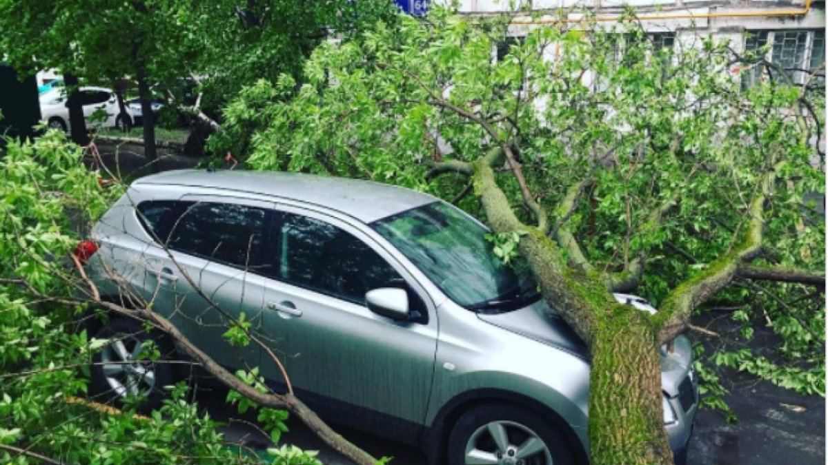 Дерево упало на забор