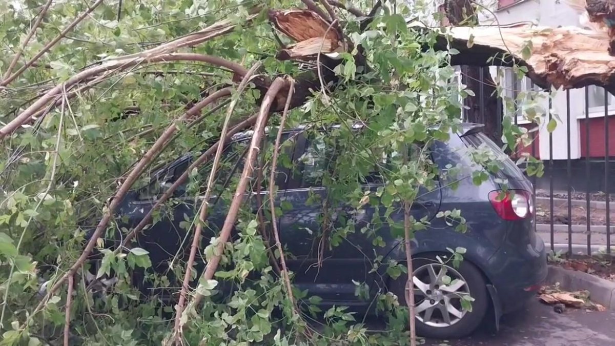 Машина во дворе