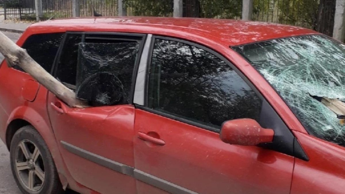 Автомобиль проткнутый деревом