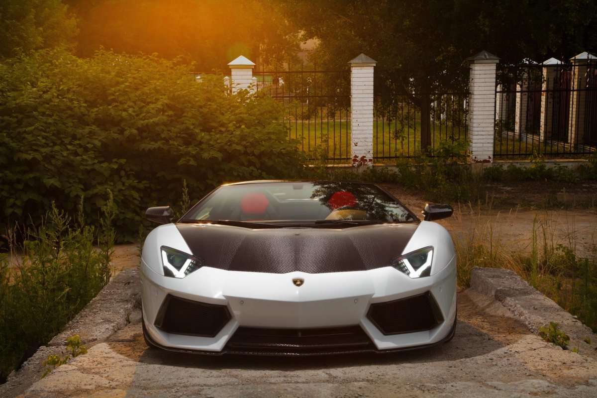 Авентадор карбон