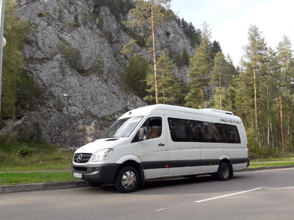 Мерседес Спринтер пассажирский