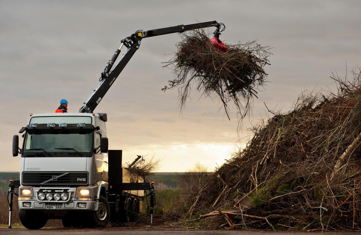 Вывоз веток деревьев